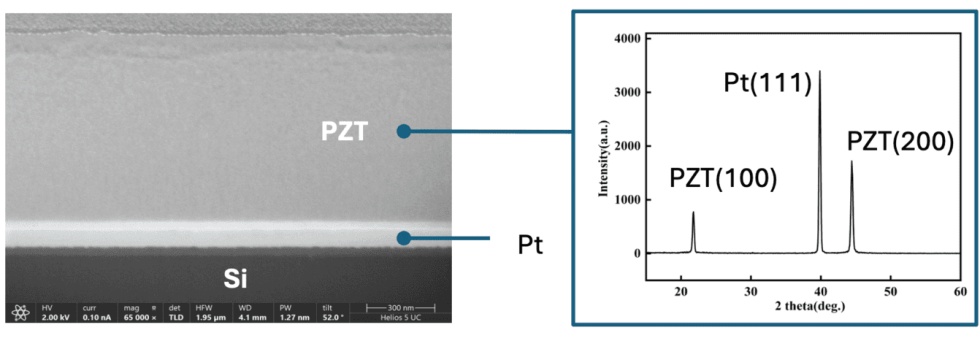 Nchịkọta nkịtị nke PZT Piezoelectric Ceramic Wafers